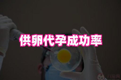 长沙助孕网 1