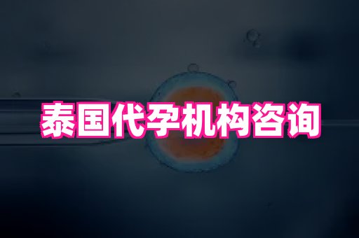 长沙助孕网 4